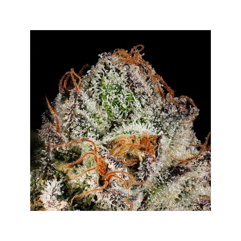 Funfetti Poundcake, Фасовка: 5, изображение 3